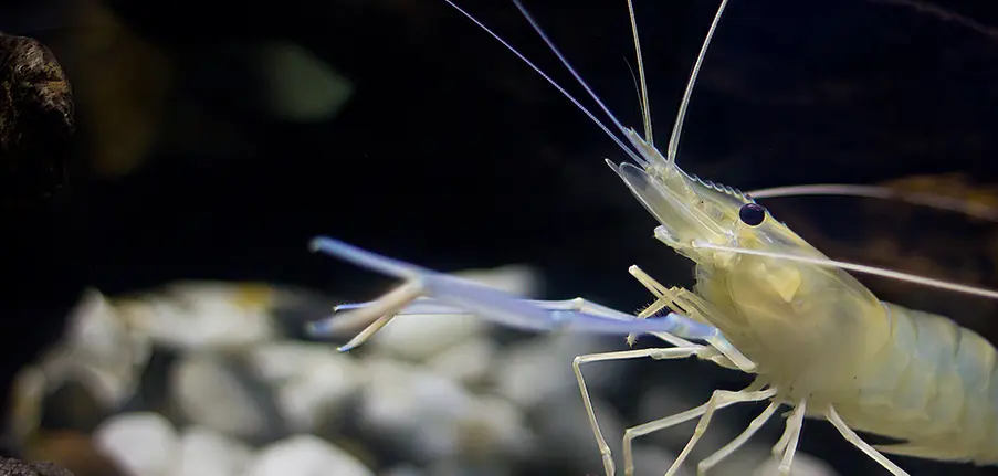 Industry application 04